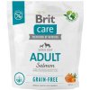 BRIT Care Dog Grain-free Adult Small & Medium Salmon - dry dog food - 1 kg BRIT Care Dog Grain-free Adult Small & Medium Salmon - dry dog food - 1 kg
