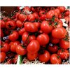 Bio Paradajka poľná zakrslá Saint Pierre - Solanum lycopersicum - predaj bio semien - 7 ks Bio Paradajka poľná zakrslá Saint Pierre - Solanum lycopersicum - predaj bio semien - 7 ks