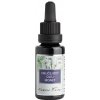 Prejasňujúci olej Monet - Nobilis Tilia Objem: 20 ml Prejasňujúci olej Monet - Nobilis Tilia Objem: 20 ml