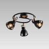 Prezent 92075456 stropné bodové svietidlo Notos 3x40W | E14 Prezent 92075456 stropné bodové svietidlo Notos 3x40W | E14