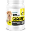 EUROWET Wita-Vet Joints - doplňky stravy pro psy - 30 tablet EUROWET Wita-Vet Joints - doplňky stravy pro psy - 30 tablet