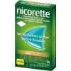 Nicorette Freshfruit Gum 4 mg gum med 1x30 ks Nicorette Freshfruit Gum 4 mg gum med 1x30 ks