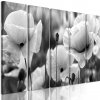 5-dielny obraz jedinečné divé maky v čiernobielom prevedení 5-dielny obraz jedinečné divé maky v čiernobielom prevedení