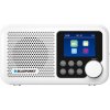 BLAUPUNKT DR8WH, 2.4 BLAUPUNKT DR8WH, 2.4