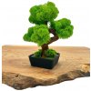 Machový 3D bonsai Mini Machový 3D bonsai Mini