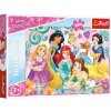 Puzzle Šťastný svět princezen