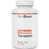 GYMBEAM Tribulus terrestris 120 tabliet GYMBEAM Tribulus terrestris 120 tabliet