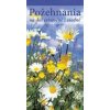 Požehnania na dni sviatočné i všedné - Magdaléna Rusiňáková Požehnania na dni sviatočné i všedné - Magdaléna Rusiňáková