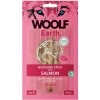 Pamlsok Woolf Dog Earth NOOHIDE S Stick with Salmon 90 g - 10 ks Pamlsok Woolf Dog Earth NOOHIDE S Stick with Salmon 90 g - 10 ks