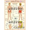 Obrázková angličtina 3 - ľudské telo - Kupka Obrázková angličtina 3 - ľudské telo - Kupka