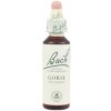 Gorse - Útesovec európsky 20 ml - bachove kvapky Gorse - Útesovec európsky 20 ml - bachove kvapky