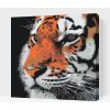Vymalujsisam.sk Maľovanie podľa čísiel - Tiger Veľkosť: 50x50cm, Rám: Na plastovej doske Vymalujsisam.sk Maľovanie podľa čísiel - Tiger Veľkosť: 50x50cm, Rám: Na plastovej doske