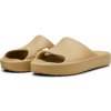 PUMA SHIBUI CAT 38529613 Béžová