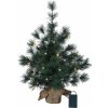 STAR TRADING Dekoratívny svietiaci stromček Tree Furu 60 cm STAR TRADING Dekoratívny svietiaci stromček Tree Furu 60 cm