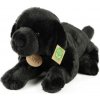 Plyšový labrador čierny 40 cm ECO-FRIENDLY Plyšový labrador čierny 40 cm ECO-FRIENDLY