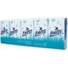 Linteo Classic hygienické vreckovky 2-vrstvové 10 x 10 ks Linteo Classic hygienické vreckovky 2-vrstvové 10 x 10 ks