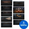 Ample Sound Ample 9in1 China Bundle (Digitálny produkt)