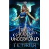 Fortune Academy Underworld (J. R. Thorn)(Brožovaná) Fortune Academy Underworld (J. R. Thorn)(Brožovaná)