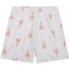 Swim Essentials Plavky Boxerky s UPF + Little Lobster