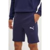 Puma pánske šortky teamGOAL Casuals navy blue 658608 06