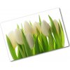 Doska na krájanie zo skla Tulipány 80x52 cm Doska na krájanie zo skla Tulipány 80x52 cm