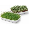 Tescoma Súprava na pestovanie microgreens SENSE Tescoma Súprava na pestovanie microgreens SENSE