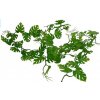 Lucky Reptile Jungle Vine Pothos Vine ca. 200 cm Lucky Reptile Jungle Vine Pothos Vine ca. 200 cm