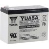 Yuasa REC10-12 10Ah 12V