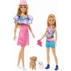 Mattel Barbie Family & Friends Stacie a Barbie v balení po 2 kusech
