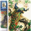 Norimpex Diamantové maľovanie Vznešený páv 30 x 40 cm