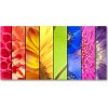 Foto obraz fotografie na skle farebné kvety 100x50 cm Foto obraz fotografie na skle farebné kvety 100x50 cm
