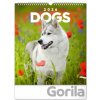 NOTIQUE Nástenný Psy 30 x 34 cm 2026 NOTIQUE Nástenný Psy 30 x 34 cm 2026