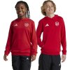 Adidas Arsenal London Jr IT4091 sweatshirt (200428) Sky Blue 152 cm Adidas Arsenal London Jr IT4091 sweatshirt (200428) Sky Blue 152 cm