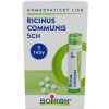Ricinus Communis gra. 3 x 4 g CH5 Ricinus Communis gra. 3 x 4 g CH5