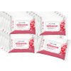 16 x CLEANIC INTIMATE Vlhčený toaletný papier s extraktom z brusníc 40s 16 x CLEANIC INTIMATE Vlhčený toaletný papier s extraktom z brusníc 40s