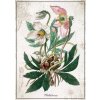 Interdruk - Puzzle Botanické čemeřice - 1000 dielov Interdruk - Puzzle Botanické čemeřice - 1000 dielov