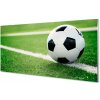 Sklenený obklad do kuchyne futbalový trávnik 100x50 cm Sklenený obklad do kuchyne futbalový trávnik 100x50 cm