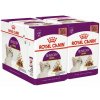 Royal Canin FHN Sensory Smell Gravy 24 x 85 g