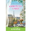 E-kniha Knihkupectví v Paříži - Rebecca Raisin E-kniha Knihkupectví v Paříži - Rebecca Raisin