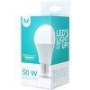 LED žiarovka Forever E27 A60 8W 230V 4500K 640lm (RTV003459) LED žiarovka Forever E27 A60 8W 230V 4500K 640lm (RTV003459)