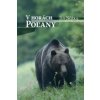 V horách Poľany 1 V horách Poľany 1