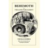 Behemoth or The Long Parliament (Thomas Hobbes)(Brožovaná) Behemoth or The Long Parliament (Thomas Hobbes)(Brožovaná)