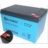 Bezúdržbový olovený akumulátor BLUEBOX AGM 12V 14Ah Bezúdržbový olovený akumulátor BLUEBOX AGM 12V 14Ah