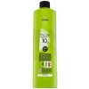 L'Oréal Inoa ODS2 aktivačná emulzia (Oxydant Riche 10 Vol. 3 %) 1000 ml L'Oréal Inoa ODS2 aktivačná emulzia (Oxydant Riche 10 Vol. 3 %) 1000 ml