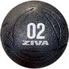 Ziva Performance Medicine Ball 2 kg Ziva Performance Medicine Ball 2 kg
