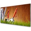 Sklenený obklad Do kuchyne Tráva náradie umenie 100x50 cm Sklenený obklad Do kuchyne Tráva náradie umenie 100x50 cm