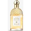Guerlain Aqua Allegoria Mandarine Basilic toaletná voda dámska 125 ml Guerlain Aqua Allegoria Mandarine Basilic toaletná voda dámska 125 ml