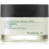 Pyunkang Yul Calming Moisture Repair Balm regeneračný a hydratačný balzam pre citlivú pleť 30 ml Pyunkang Yul Calming Moisture Repair Balm regeneračný a hydratačný balzam pre citlivú pleť 30 ml