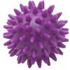 Masažní míček ježek - cvičební míček s výstupky Fialová, 5,5 cm Masažní míček ježek - cvičební míček s výstupky Fialová, 5,5 cm