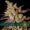 Vision Seeds - Choco Bud 10 ks - Semená neobsahujú THC Vision Seeds - Choco Bud 10 ks - Semená neobsahujú THC